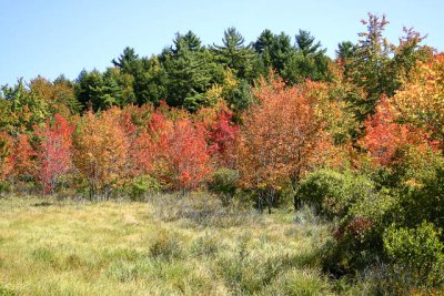 _MG_0744_cs3_web.jpg