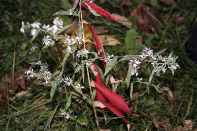 _MG_0994_cs3_web.jpg