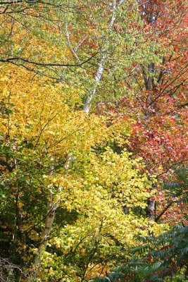 _MG_1134_cs3_web.jpg