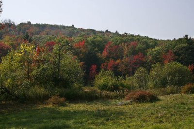 _MG_1147_cs3_web.jpg