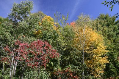 _MG_1217_cs3_web.jpg