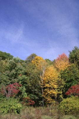 _MG_1219_cs3_web.jpg