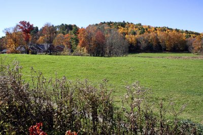_MG_1464_cs3_web.jpg