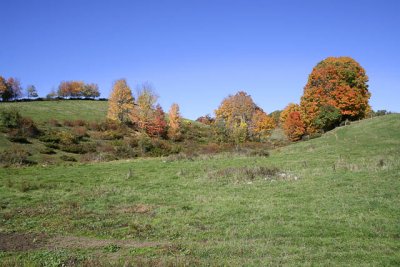_MG_1467_cs3_web.jpg