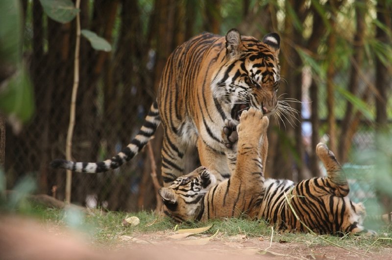 Tondi And Mom
