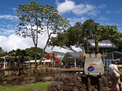 Keiki Zoo 8