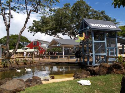 Keiki Zoo 9