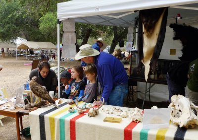 Coyote Road School Nature Museum