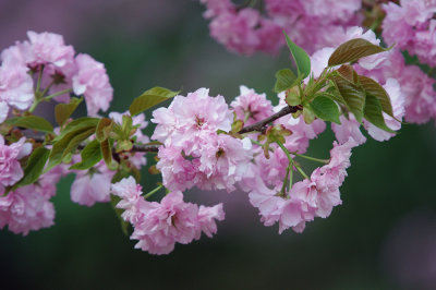 g3/89/564589/3/123460411.8BT0rJIV.jpg