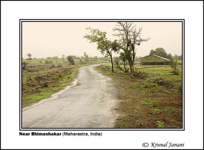 Road in Bhimashankar 2 .jpg