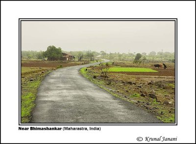 Road in Bhimashankar 3 .jpg
