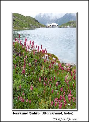 Hemkund Sahib 8665.jpg