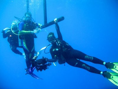Belize Underwater