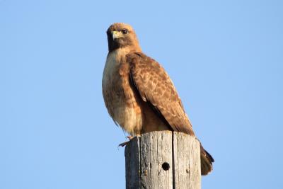 IMG_2121.JPG