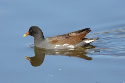 IMG_2069.JPG