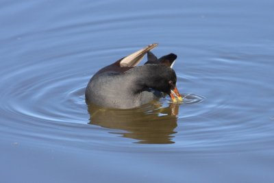 IMG_2062.JPG
