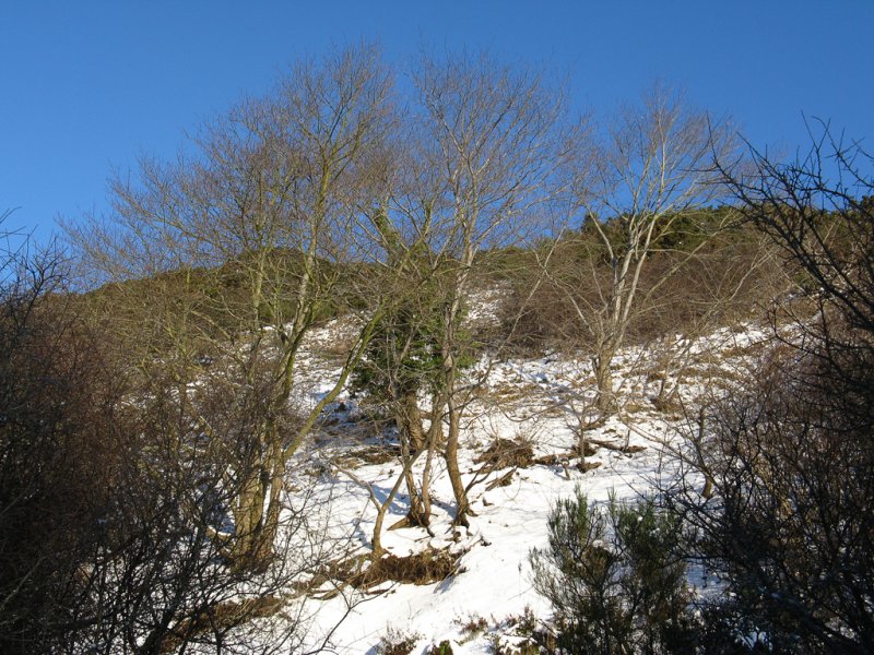 Hermitage of Braid