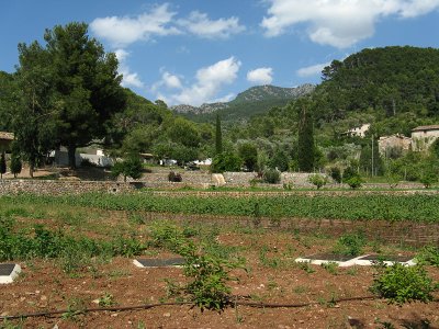 Soller