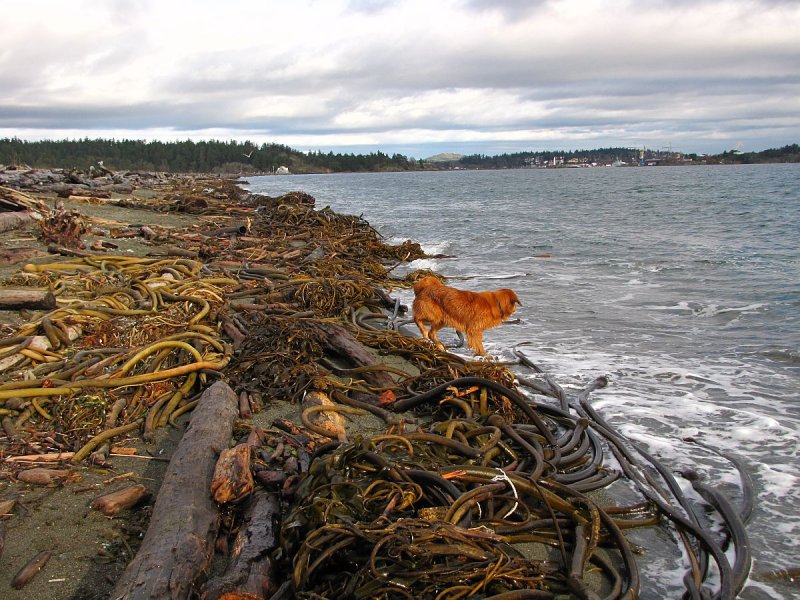 THE BEACH HAS CHANGED SINCE LAST TIME.