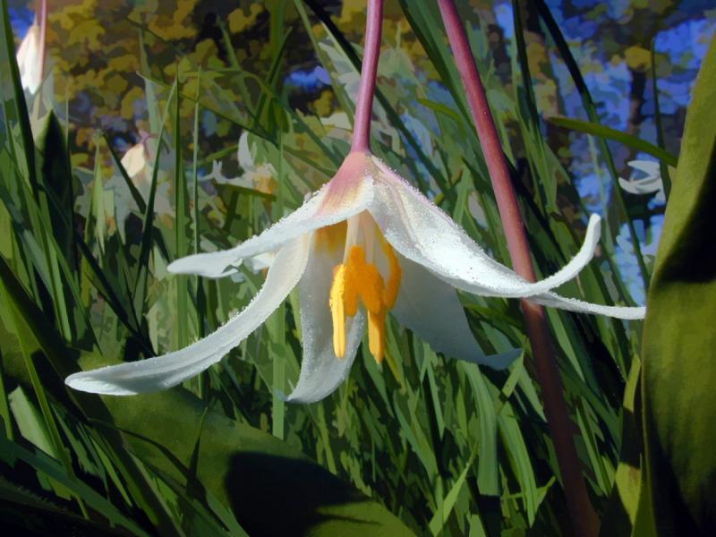 Easter Lily Buzzed