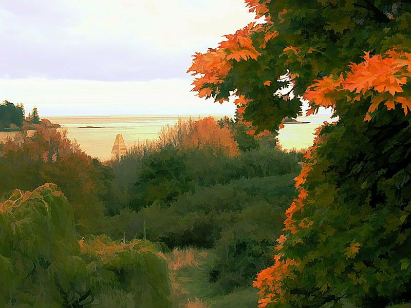 Nana's View