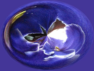 African Violet Orb