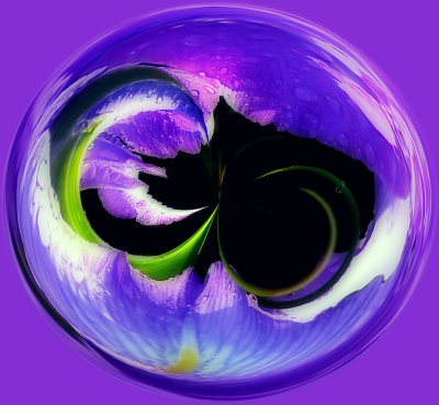 Jos Iris Orb.