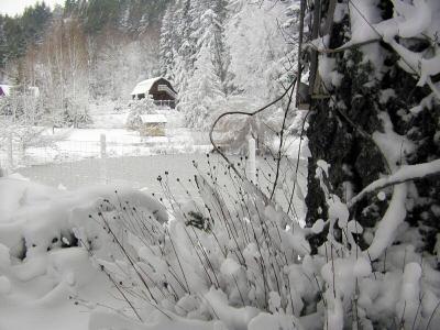 Cold Winter's Day