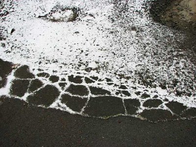 Cracks in the pavement.