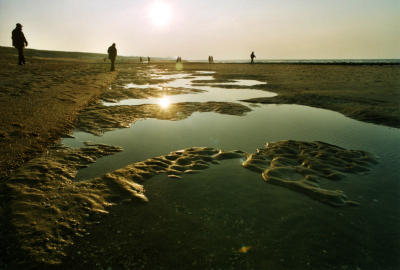 winter beach