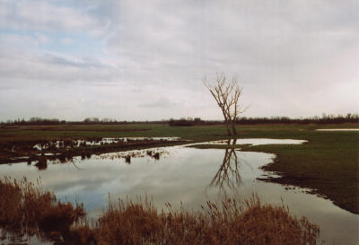 g3/89/638589/3/56918705.Delft_Voigtl3.jpg