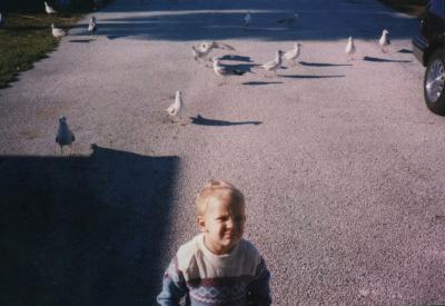Wade with Seagulls