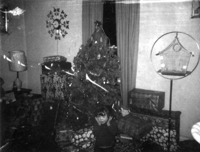 Lisa Christmas