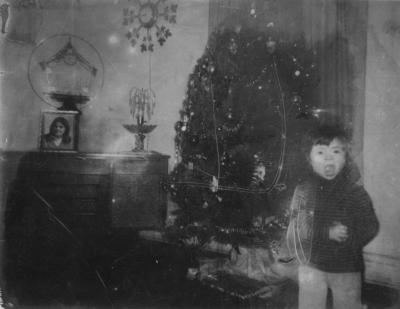 Lisa Christmas