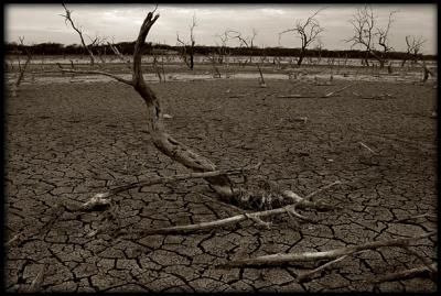   North Texas Drought