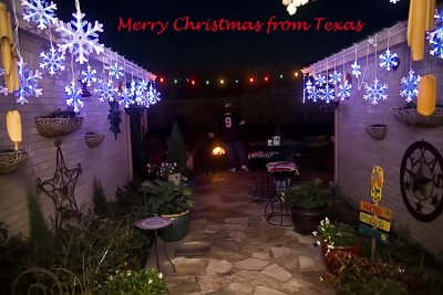 IMG_9895-1XMas2.jpg