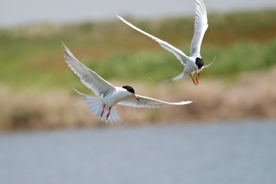 g3/89/648689/3/124118379.uLBmvAan.jpg