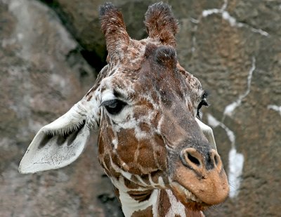 Philadelphia Zoo