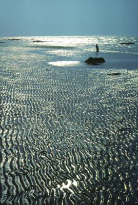 Low-Tide, Herne Bay