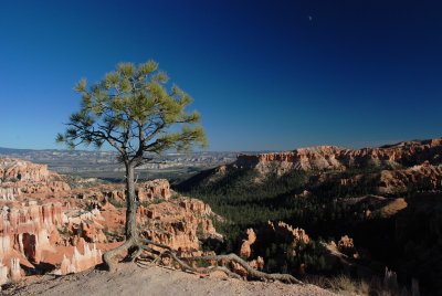 Bryce Canyon National Park, Utah