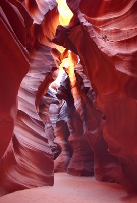 DSC_1293.jpg