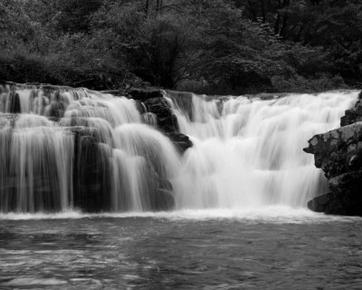 Lower Senica Creek