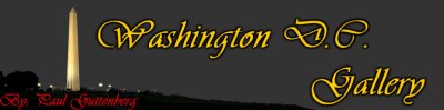 IMG_0556c illistration banner copy.jpg
