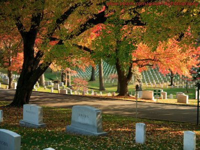 1024x768 Arlington Cemetery in Fall