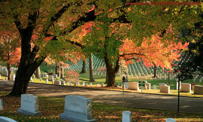 1280x768 Arlington Cemetery in Fall