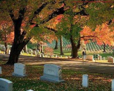 1280x1024 Arlington Cemetery in Fall