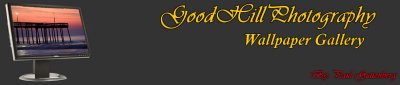 Screen Banner Pier1 grey.jpg