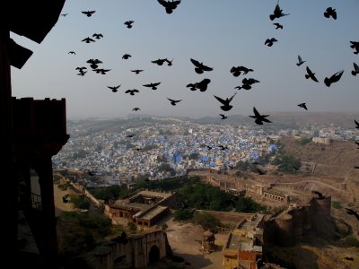 Jodhpur - the blue city - from the Fort