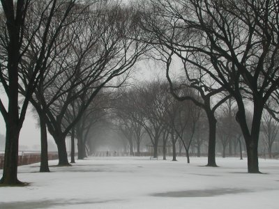 DSCN2736.JPG