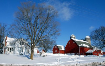 farm scene -- winter